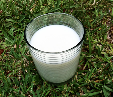 Post image for Eating like a Cow: Breastfeeding & Cow’s Milk Protein Intolerance