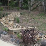 take-inspiration-from-nature