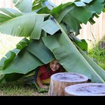 making-cubbies
