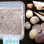 shells