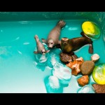 water