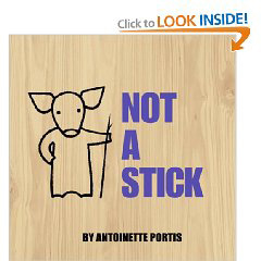 It's Not a Stick review