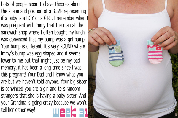 pregnancy photo journal