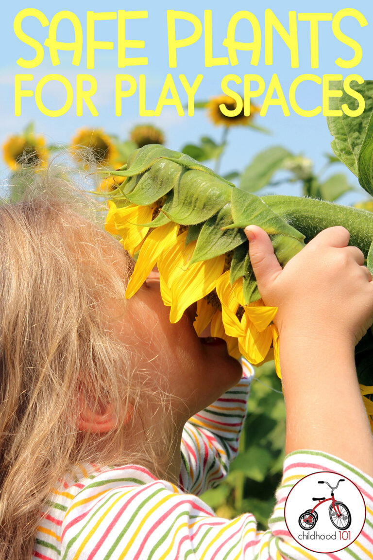 Safe Plants for Play Spaces for Children