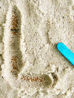 Sand tray sight word activities