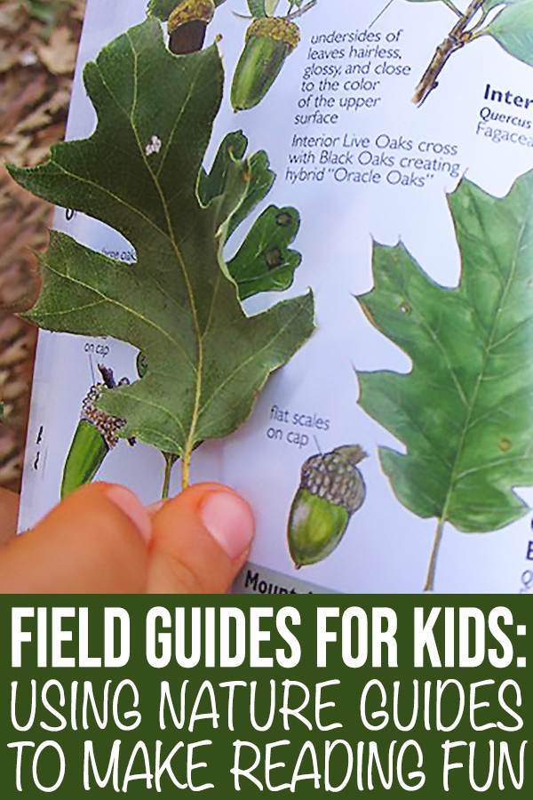 Best Field Guides For Kids: Using Nature Guides to Make Reading Fun