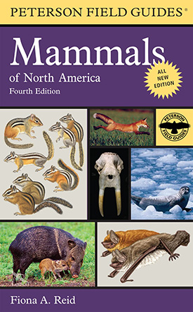 Mammals of North America Field GUide