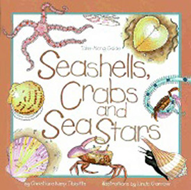 Seashells crabs and sea stars field guide