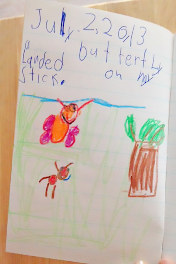 Using nature journals with kindergarten