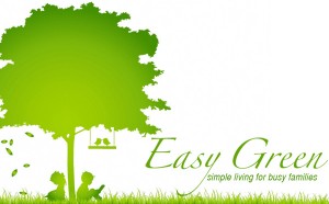 Easy Green: 6 Ways to Save Money…and the Planet