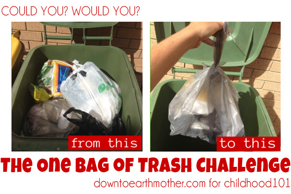 Easy Green_One bag of trash challenge