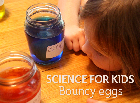 Science for Kids: Bouncy Eggs Experiment