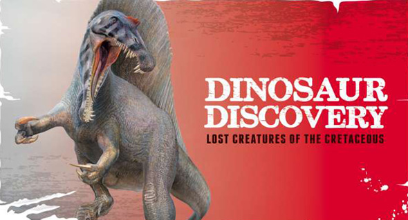 perth museum dinosaur discovery