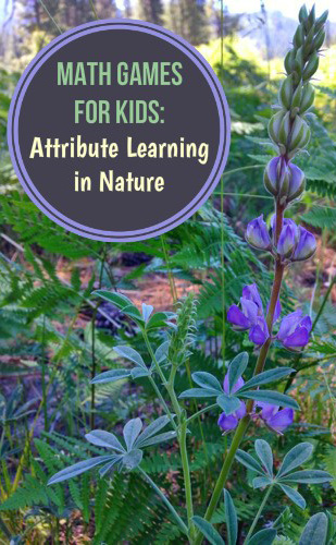 Math Games for Kids: Learning About Attributes in Nature