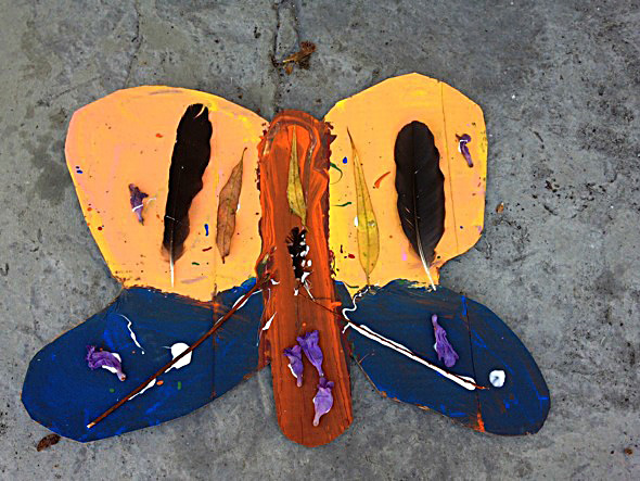 Butterfly Symmetry Nature Art