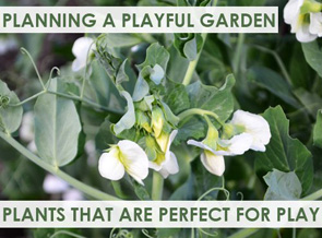 Plants-for-kids-gardens