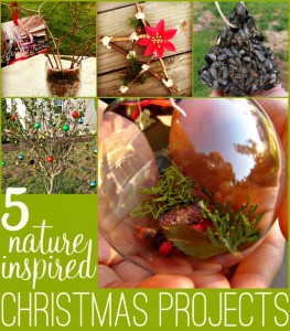 5 Nature Inspired Christmas Projects