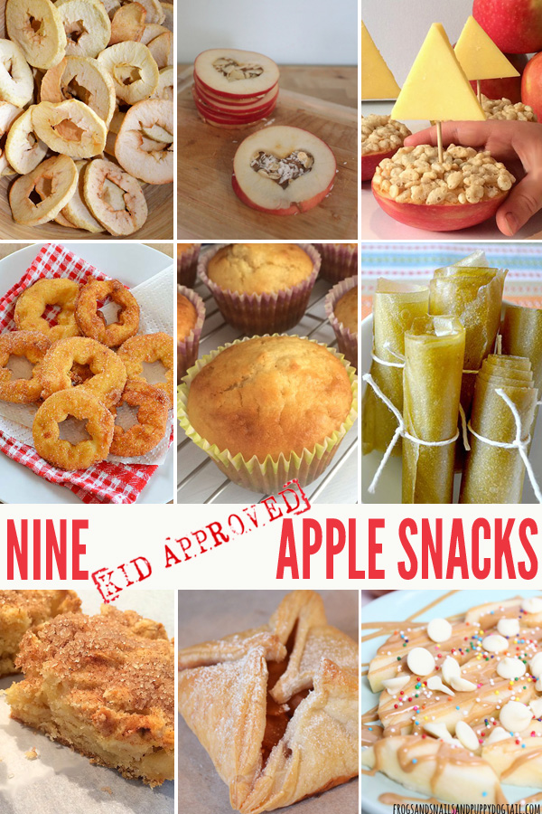 9 Kid Approved Apple Snack Ideas
