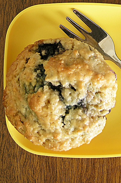 Berry and Oat Muffin