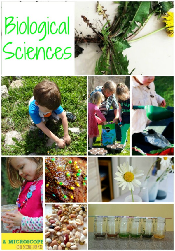 40 Brilliant Backyard Science Experiments