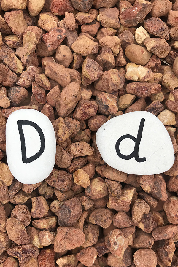 Hands On Alphabet Games with Alphabet Stones: Letter Match