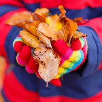 autumn activities for toddlers