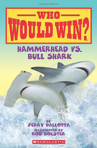 Hammerhead vs Bull shark