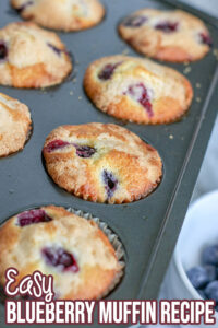 Easy blueberry muffin recipe