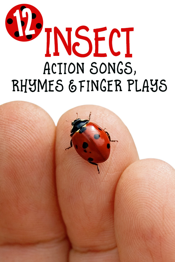 12 Minibeasts & Insects Action Songs, Rhymes and Finger Plays