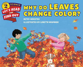 Why Do Leaves Change Color