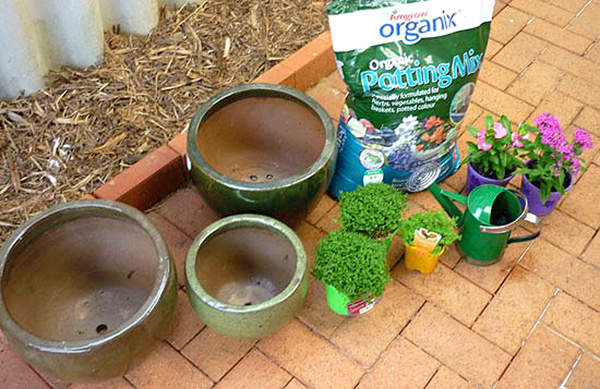 What you need to make a potted play garden