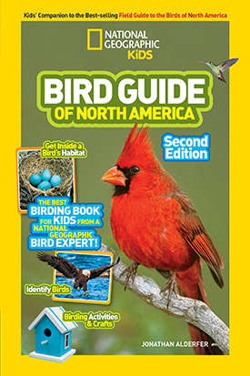 Bird Guide of North America