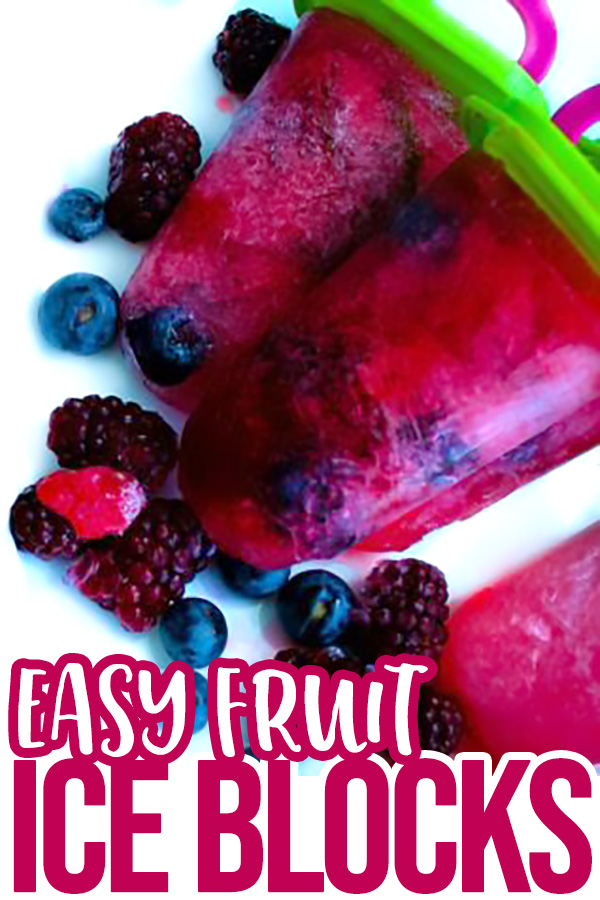 Easy Fruit Ice Blocks