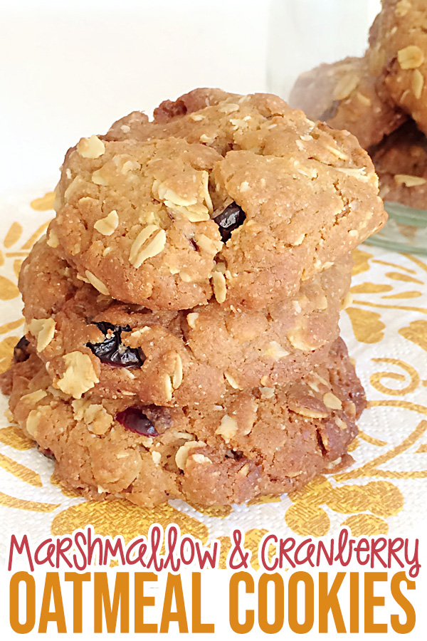 Marshmallow and Cranberry Oatmeal Cookie Recipe