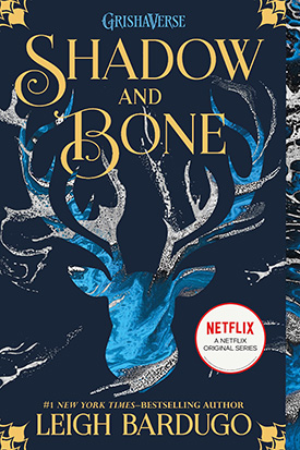 Shadow and Bone fantasy book series for teens