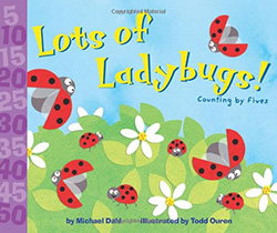 Lots of Ladybugs skip counting
