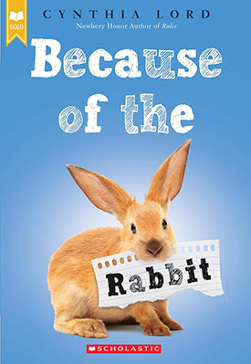 Because of the Rabbit Easter Chapter Book