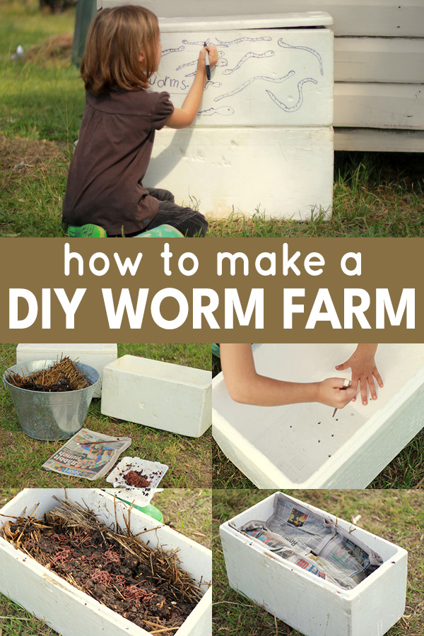 How to Make a Worm Farm For Kids